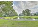 Scenic community pond with geese, surrounded by lush greenery and charming residential buildings at 1536 Keshi Pearl Dr, Mount Pleasant, SC 29466