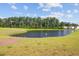 Scenic community pond surrounded by lush landscaping with Canada Geese at 325 Coral Sunset Way, Summerville, SC 29486