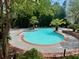 Relaxing community pool with palm trees and plenty of space for swimming and lounging at 700 Daniel Ellis Dr # 2203, Charleston, SC 29412
