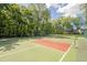 Community tennis and pickleball courts surrounded by trees and lush greenery at 9117 Woodcreek Ct, North Charleston, SC 29406
