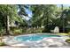 A private backyard showcasing a kidney shaped pool surrounded by lush greenery at 109 Garbon Dr, Summerville, SC 29485