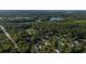 Lush aerial view of the community, with a large lake in the distance at 2911 Old Tavern Ct, Mount Pleasant, SC 29466