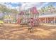 A view of the community playground with multiple slides and play equipment at 4847 Cane Pole Ln, Summerville, SC 29485