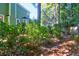 Overgrown backyard and path in the home's outdoor space at 794 Hunt Club Run, Charleston, SC 29414