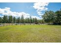 Spacious grassy backyard with white fence and trees at 175 Maria Stuart Ln, Varnville, SC 29944