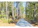 Scenic paved pathway through a wooded area with tall trees and natural light at 1718 Vireo Ct, Johns Island, SC 29455