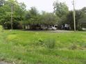 Overgrown yard with large trees and a house in the background at 571 Main Rd, Johns Island, SC 29455