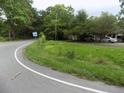 Residential street with overgrown yard and house at 571 Main Rd, Johns Island, SC 29455