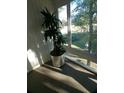 Sunroom with a large plant and water views at 1158 Village Creek Lane Unit 4 # 803, Mount Pleasant, SC 29464