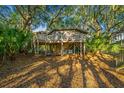 Treehouse home nestled amongst mature trees; showcasing the home's unique architecture and elevated position at 7 Dunecrest Trace, Seabrook Island, SC 29455