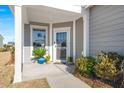 Front porch entry with glass door and potted plants at 487 Switchgrass Dr, Summerville, SC 29486
