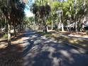Paved pathway meandering through lush landscaping with palm trees and shade trees at 345 Sea Cloud Cir # 345, Edisto Island, SC 29438