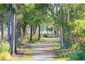 A serene nature trail shaded by tall trees and lush vegetation at 1604 John Fenwick Ln, Johns Island, SC 29455