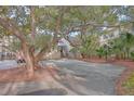 Quaint front yard with mature trees and parking area at 1248 Creek Watch Trce, Seabrook Island, SC 29455