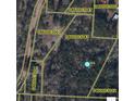 Aerial view showing home location and lot lines at 355 Dike Rd Rd, Bonneau, SC 29431