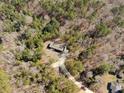 An aerial view showcases a secluded property nestled amongst dense trees, featuring a long driveway to the home at 355 Dike Rd Rd, Bonneau, SC 29431