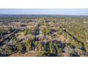 House on large lot with surrounding trees at 3980 River Rd, Johns Island, SC 29455