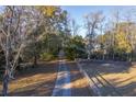 Gravel driveway lined with trees leading to home at 3980 River Rd, Johns Island, SC 29455