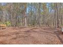 Wooded acreage with mature trees and a clearing at 3041 Nye View Cir, Mount Pleasant, SC 29466