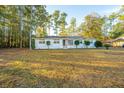 White brick ranch house with large yard and mature trees at 411 Constance St, Walterboro, SC 29488