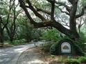 Community entrance with mature landscaping and iconic tree at 60 Fenwick Hall Aly # 313, Johns Island, SC 29455