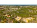 Aerial view of a community with several manufactured homes and surrounding woodland at 857 Devines Way, Cross, SC 29436