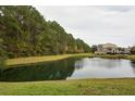 Serene pond view with lush green landscaping and trees at 1300 Park West Blvd # 1001, Mount Pleasant, SC 29466