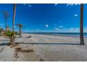 Expansive beach with palm trees and blue ocean at 367 Pelican Flight Dr, Dewees Island, SC 29451