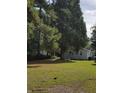 Large backyard with lush green grass and mature trees at 206 Dukes St, Saint George, SC 29477