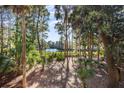 Scenic view of a tranquil pond surrounded by lush greenery and tall trees at 2908 Old Drake Dr, Seabrook Island, SC 29455