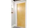 Apartment door with wood finish, and silver door handles at 150 Bee St # 318, Charleston, SC 29401