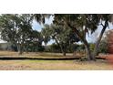 Open field with mature oak trees, Spanish moss, and a section of privacy fence at 2976 Lodge Berry Ln, Johns Island, SC 29455