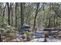 Peaceful backyard with fire pit surrounded by trees at 6321 Bears Bluff Rd, Wadmalaw Island, SC 29487