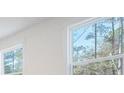 Bright room view with white trim windows showcasing the outdoor landscape at 0 United Dr, Huger, SC 29450