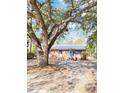 Cozy brick home with a light blue front door set amidst a yard shaded by a large, mature tree at 227 Bailey St, Walterboro, SC 29488