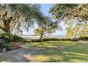 Lush backyard featuring expansive green space and a private dock on the water at 119 Riverland Dr, Charleston, SC 29412