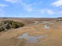 Expansive aerial view of a golden marsh with intricate waterways and scattered vegetation at 4 Cedar Waxwing Ct, Kiawah Island, SC 29455