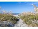Scenic beach view framed by lush sea grass, offering a tranquil escape with blue skies above at 10 Ocean Point Dr, Isle of Palms, SC 29451