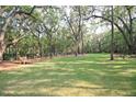 Picturesque Carolina Bay green space perfect for picnics and relaxing at 1724 Grovehurst Dr, Charleston, SC 29414