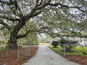 Exterior view of property with large mature tree, driveway, and fencing at 488 Society Rd # A&B, McClellanville, SC 29458