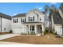Well-maintained home boasting a covered front porch and lush landscaping at 491 Richfield Way, Summerville, SC 29486