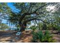 Picturesque scene featuring a majestic, old tree and beautiful waterfront views in a natural, wooded setting at 130 River Landing Dr # 7123, Charleston, SC 29492