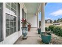 Welcoming front porch with potted plants and classic white columns at 520 Tranquil Waters Way, Summerville, SC 29486