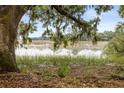 Scenic view of the marsh with moss-draped trees and a peaceful waterfront at 700 Daniel Ellis Dr # 8108, Charleston, SC 29412