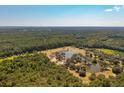 A sprawling lakeside community surrounded by lush greenery and mature trees at 2924 Lodge Berry Ln, Johns Island, SC 29455