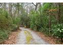 Picturesque private driveway lined with mature trees leading to a secluded property at 415 W Carolina Ave, Summerville, SC 29483