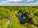 Aerial view of lush property featuring a pond, mature trees, and rustic outbuildings at 4304 River Rd, Johns Island, SC 29455