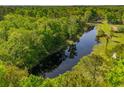 Beautiful aerial shot showcasing a tranquil pond surrounded by dense trees and greenery at 4304 River Rd, Johns Island, SC 29455