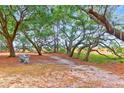 Beautiful park featuring mature trees, sandy paths, and a charming bench at 700 Daniel Ellis Dr # 8107, Charleston, SC 29412