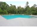Community swimming pool with multiple swim lanes, lounge chairs, and lush greenery at 6934 Tanner Hall Blvd, Hanahan, SC 29410